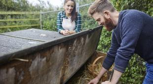 compost