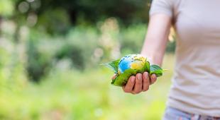 eco