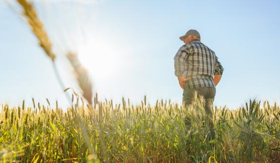 agriculteur